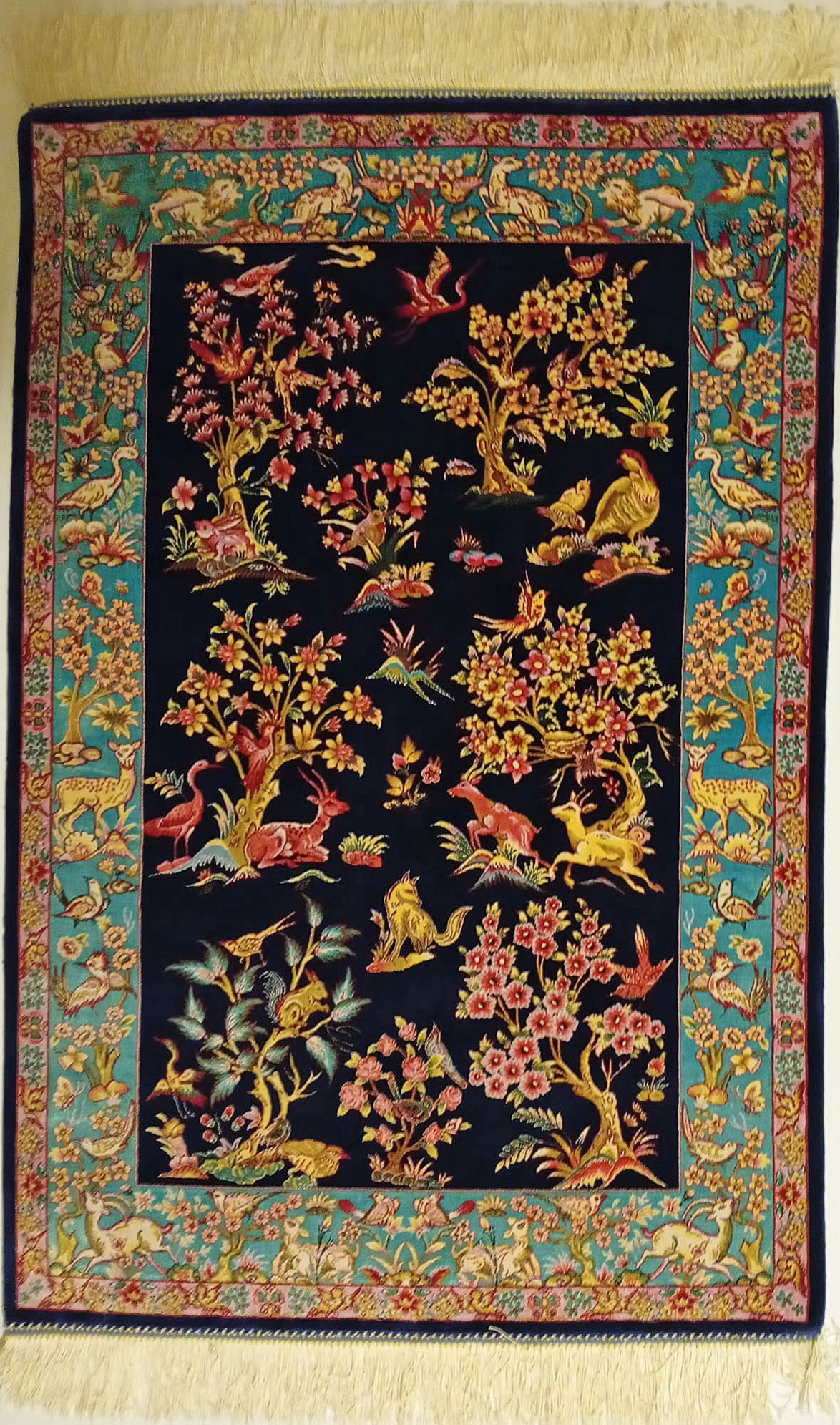 Generic placeholder image